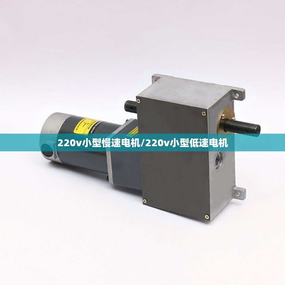 220v小型慢速电机/220v小型低速电机 220v小型慢速电机/220v小型低速电机