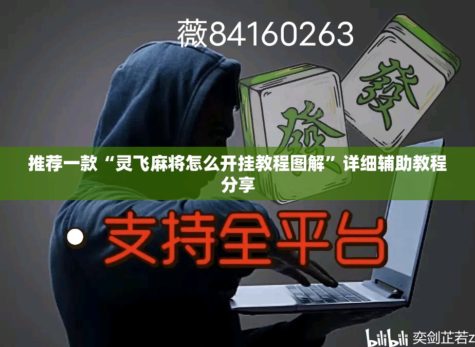 推荐一款“灵飞麻将怎么开挂教程图解	”详细辅助教程分享