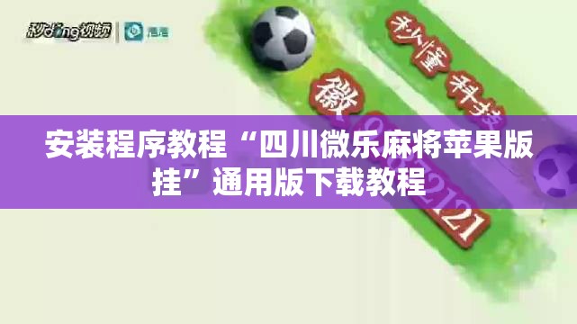 安装程序教程“四川微乐麻将苹果版挂”通用版下载教程