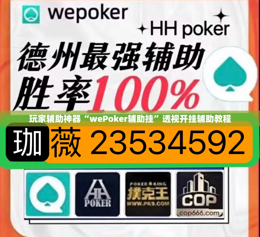 玩家辅助神器“wePoker辅助挂	”透视开挂辅助教程