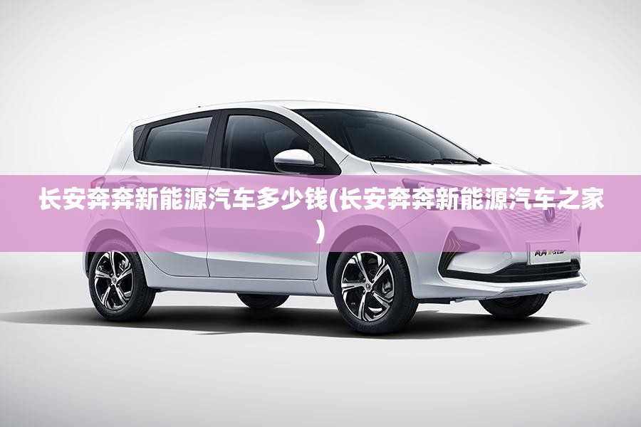 长安奔奔新能源汽车多少钱(长安奔奔新能源汽车之家)