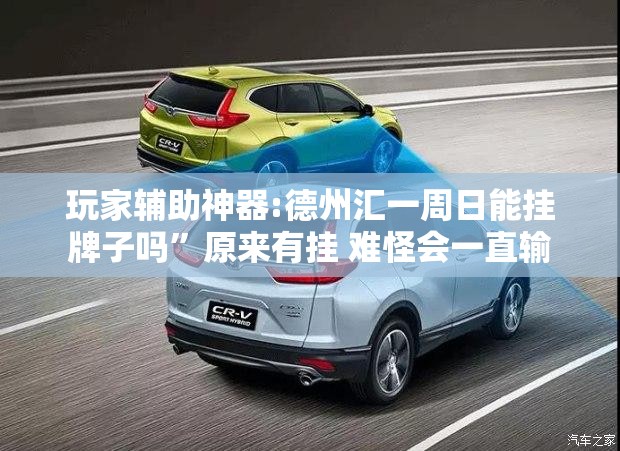 玩家辅助神器:德州汇一周日能挂牌子吗	”原来有挂 难怪会一直输