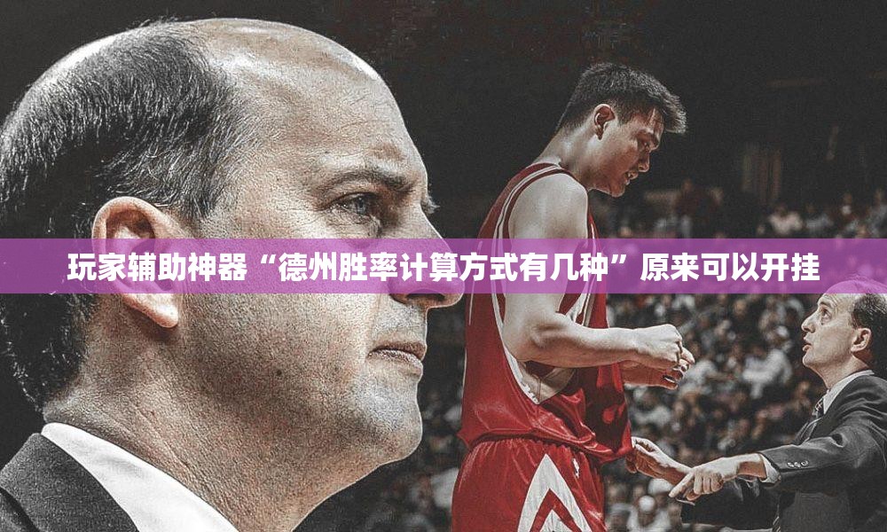 玩家辅助神器“德州胜率计算方式有几种”原来可以开挂
