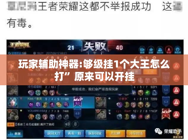 玩家辅助神器:够级挂1个大王怎么打”原来可以开挂