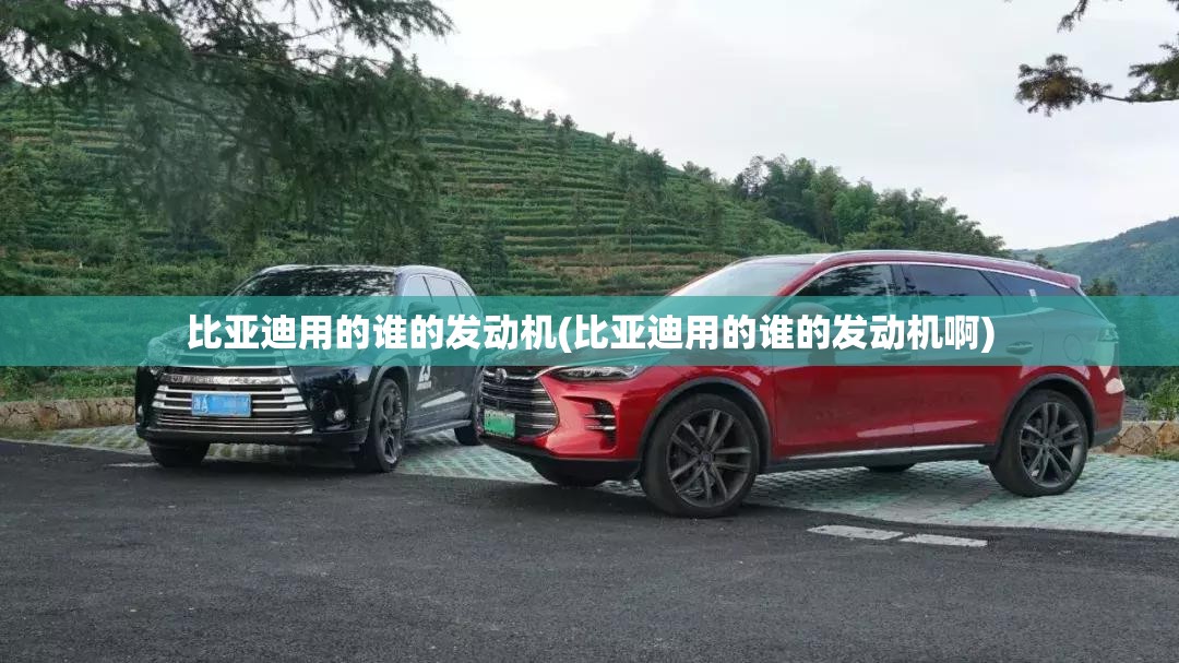 比亚迪用的谁的发动机(比亚迪用的谁的发动机啊)