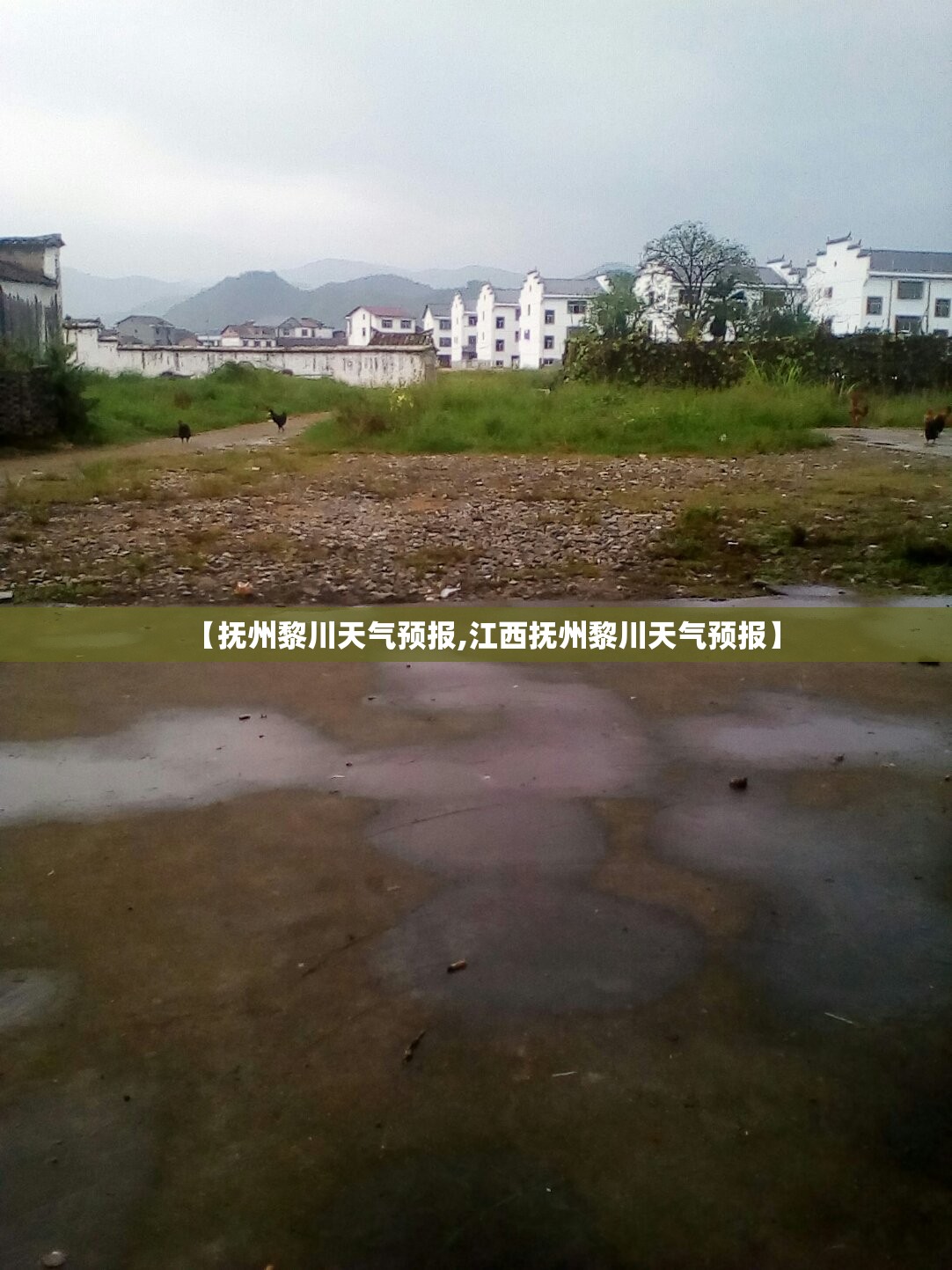 【抚州黎川天气预报,江西抚州黎川天气预报】 【抚州黎川天气预报,江西抚州黎川天气预报】