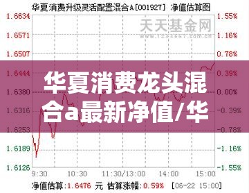华夏消费龙头混合a最新净值/华夏消费龙头混合a最新净值是多少 华夏消费龙头混合a最新净值/华夏消费龙头混合a最新净值是多少