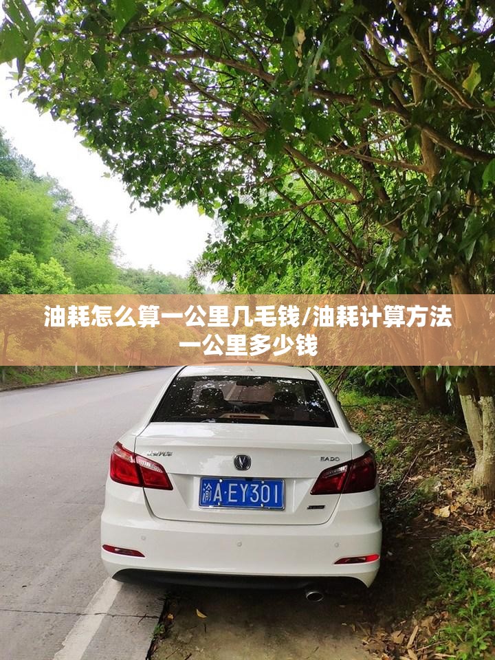油耗怎么算一公里几毛钱/油耗计算方法一公里多少钱 油耗怎么算一公里几毛钱/油耗计算方法一公里多少钱