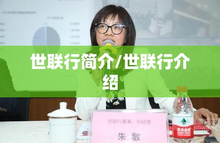世联行简介/世联行介绍