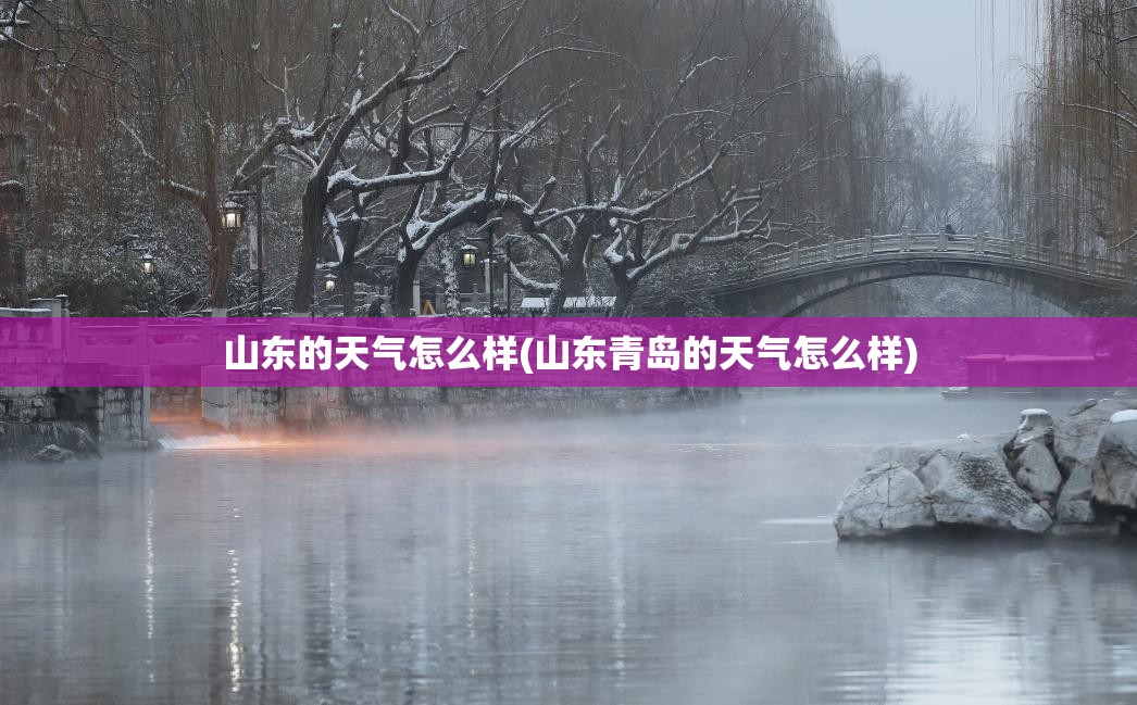 山东的天气怎么样(山东青岛的天气怎么样)