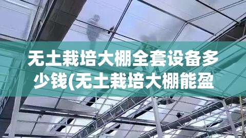 无土栽培大棚全套设备多少钱(无土栽培大棚能盈利吗) 无土栽培大棚全套设备多少钱(无土栽培大棚能盈利吗)