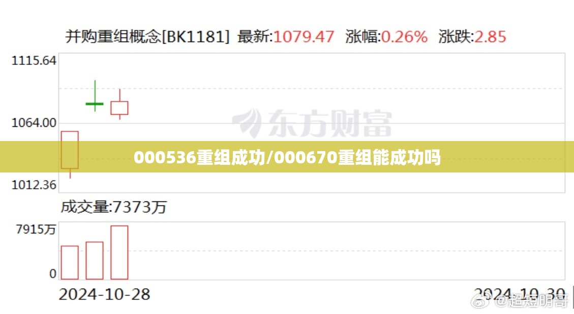 000536重组成功/000670重组能成功吗
