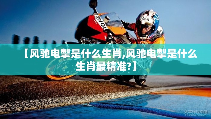 【风驰电掣是什么生肖,风驰电掣是什么生肖最精准?】