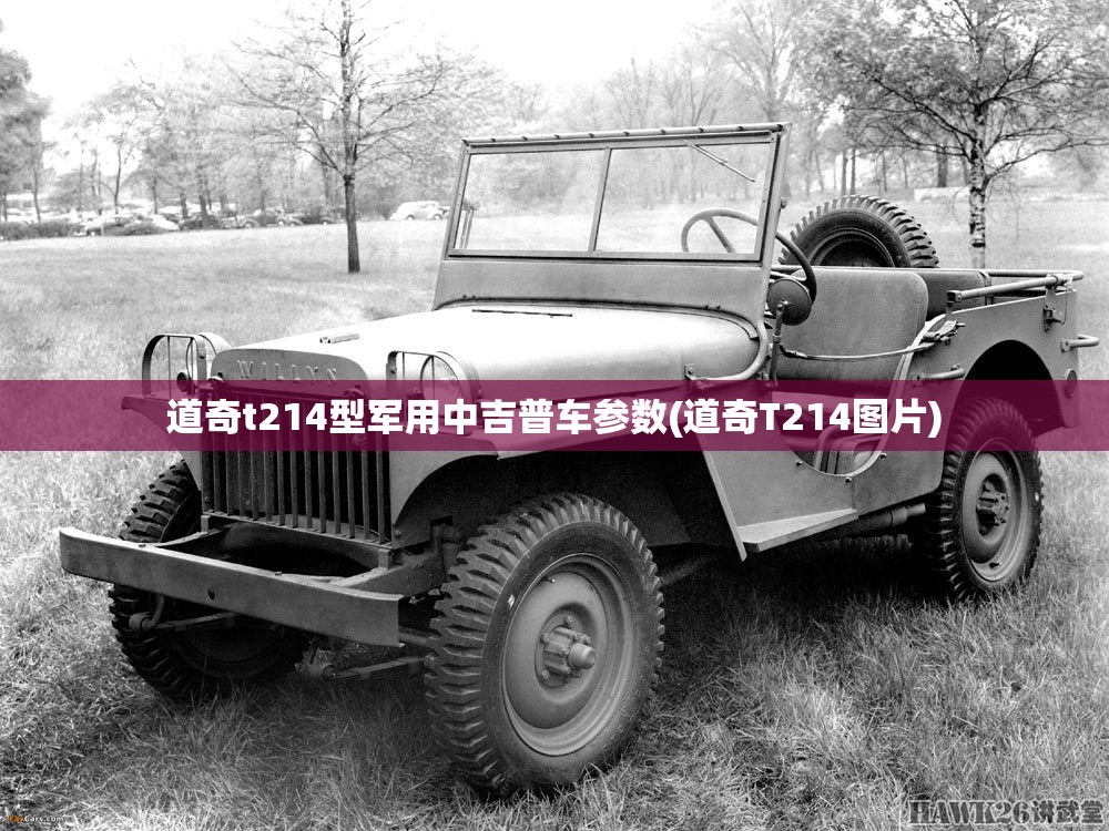 道奇t214型军用中吉普车参数(道奇T214图片) 道奇t214型军用中吉普车参数(道奇T214图片)