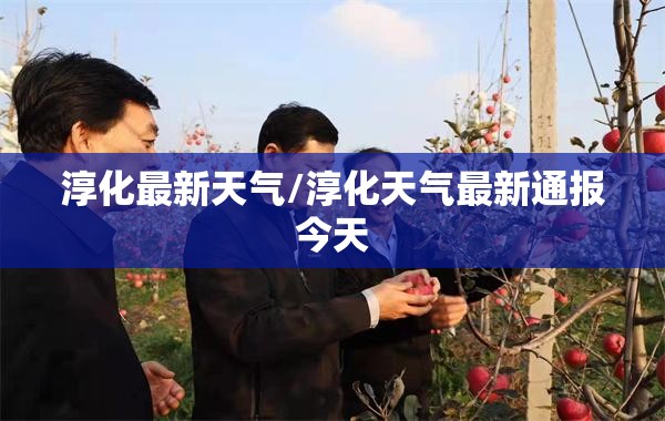 淳化最新天气/淳化天气最新通报今天