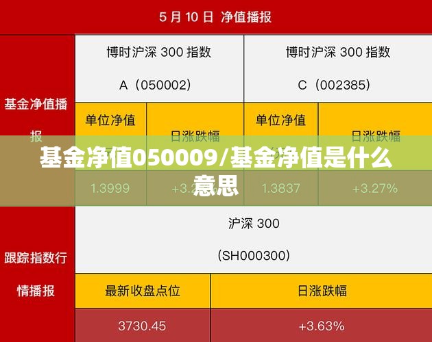 基金净值050009/基金净值是什么意思