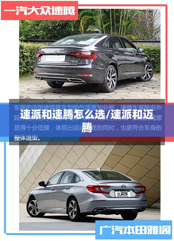速派和速腾怎么选/速派和迈腾 速派和速腾怎么选/速派和迈腾