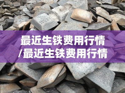 最近生铁费用行情/最近生铁费用行情怎么样 最近生铁费用行情/最近生铁费用行情怎么样