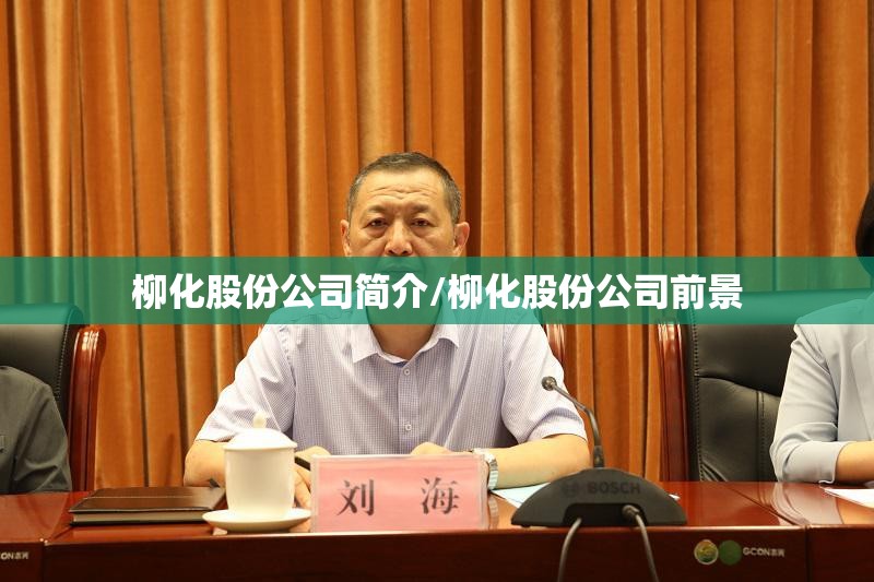 柳化股份公司简介/柳化股份公司前景
