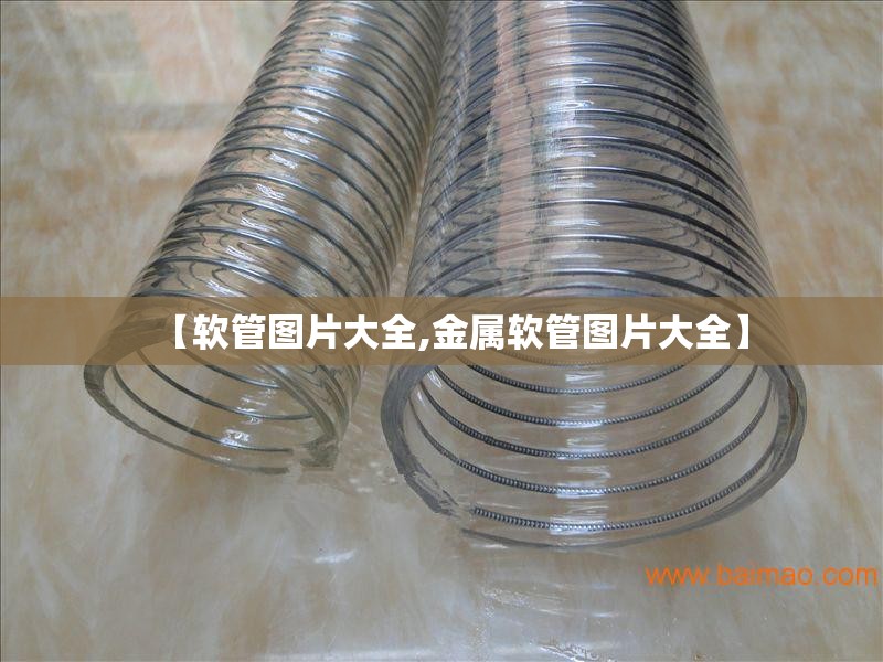 【软管图片大全,金属软管图片大全】