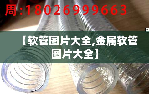 【软管图片大全,金属软管图片大全】
