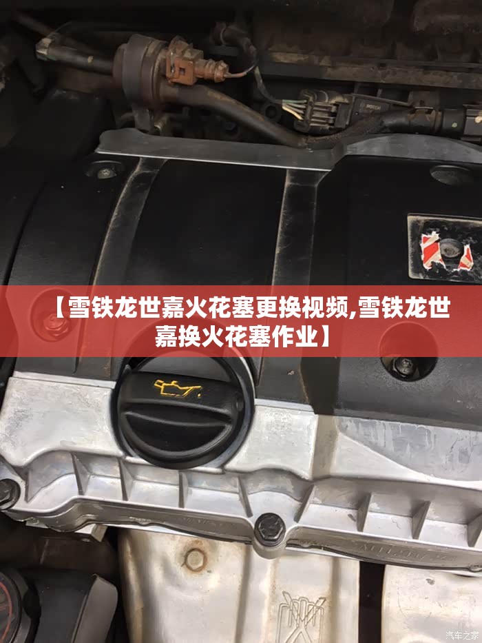 【雪铁龙世嘉火花塞更换视频,雪铁龙世嘉换火花塞作业】