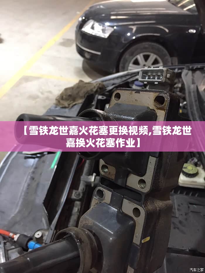 【雪铁龙世嘉火花塞更换视频,雪铁龙世嘉换火花塞作业】