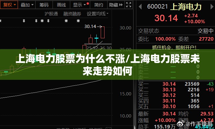 上海电力股票为什么不涨/上海电力股票未来走势如何
