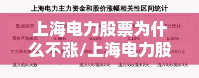 上海电力股票为什么不涨/上海电力股票未来走势如何