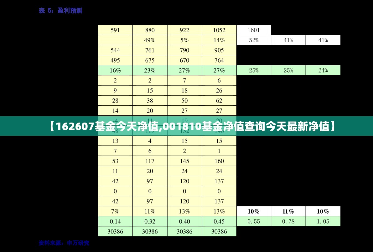 【162607基金今天净值,001810基金净值查询今天最新净值】