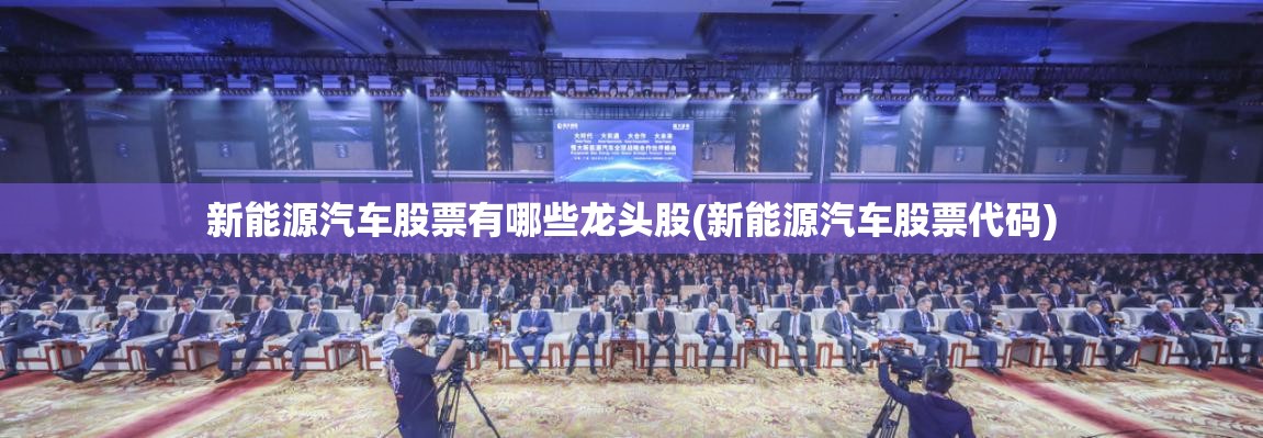新能源汽车股票有哪些龙头股(新能源汽车股票代码)