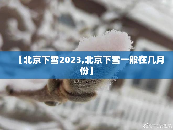 【北京下雪2023,北京下雪一般在几月份】 【北京下雪2023,北京下雪一般在几月份】