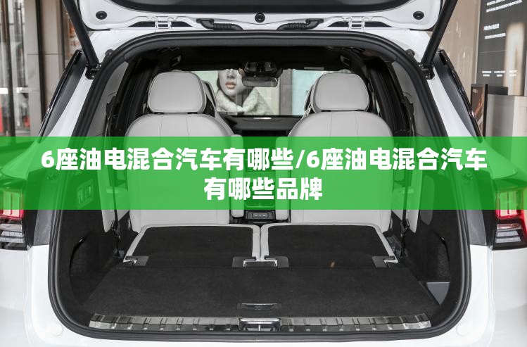 6座油电混合汽车有哪些/6座油电混合汽车有哪些品牌