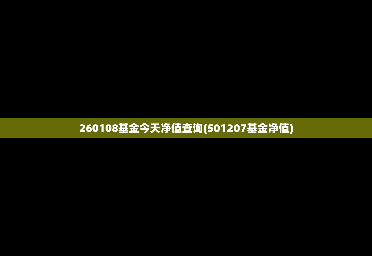 260108基金今天净值查询(501207基金净值)