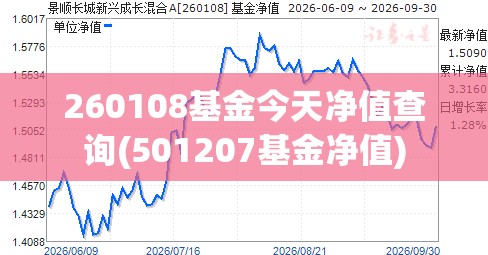 260108基金今天净值查询(501207基金净值)