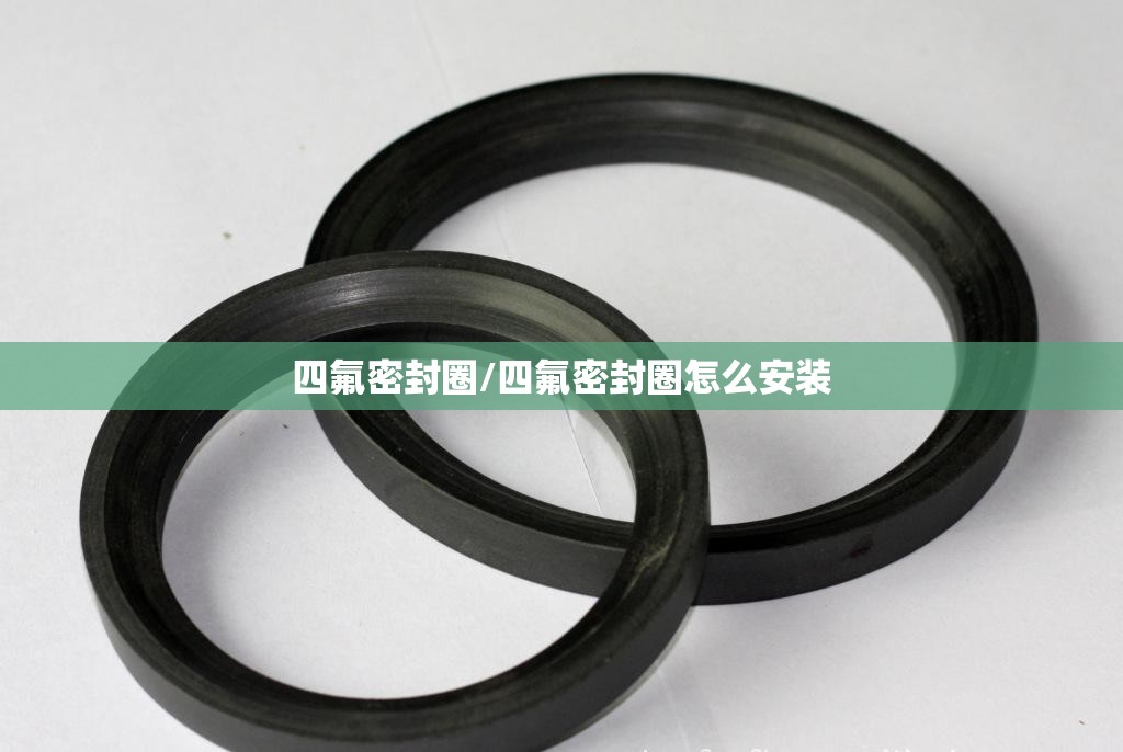 四氟密封圈/四氟密封圈怎么安装