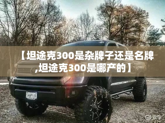 【坦途克300是杂牌子还是名牌,坦途克300是哪产的】