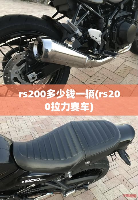 rs200多少钱一辆(rs200拉力赛车)