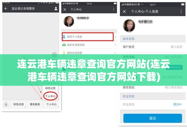 连云港车辆违章查询官方网站(连云港车辆违章查询官方网站下载)