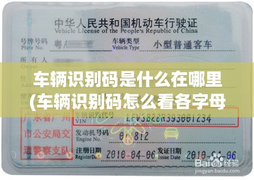 车辆识别码是什么在哪里(车辆识别码怎么看各字母代表什么) 车辆识别码是什么在哪里(车辆识别码怎么看各字母代表什么)
