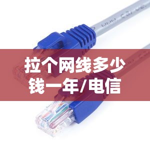 拉个网线多少钱一年/电信拉网线多少钱一年