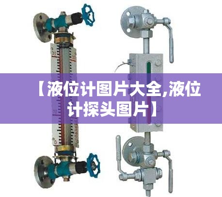 【液位计图片大全,液位计探头图片】 【液位计图片大全,液位计探头图片】