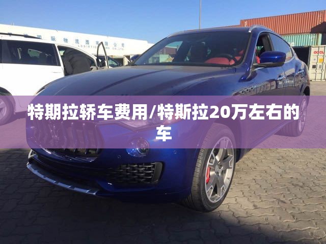 特期拉轿车费用/特斯拉20万左右的车