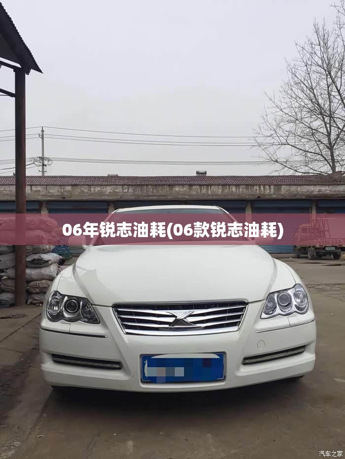 06年锐志油耗(06款锐志油耗)