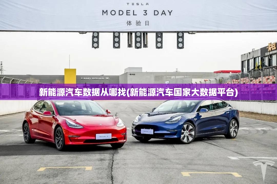新能源汽车数据从哪找(新能源汽车国家大数据平台)