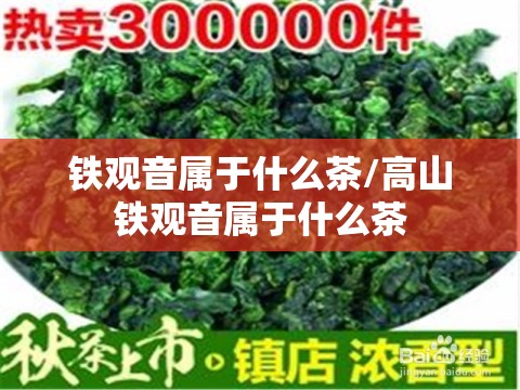 铁观音属于什么茶/高山铁观音属于什么茶