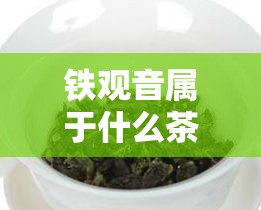 铁观音属于什么茶/高山铁观音属于什么茶