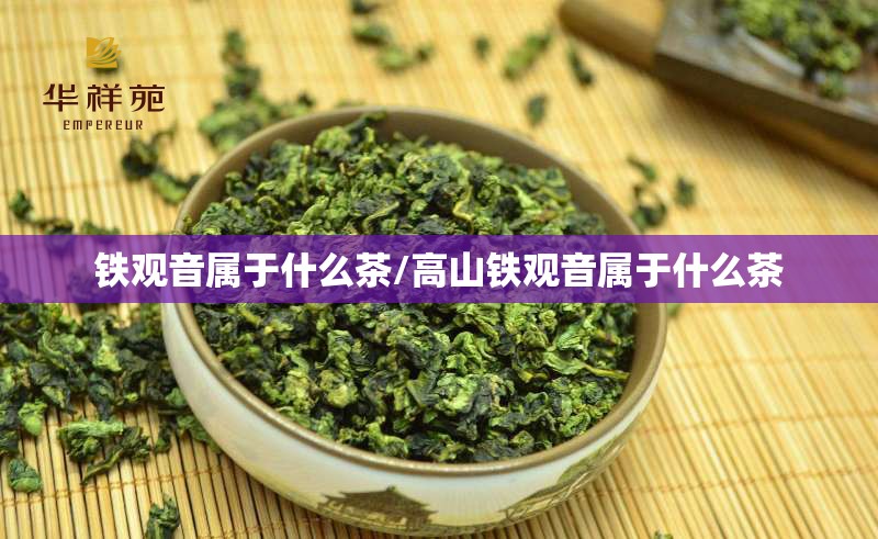 铁观音属于什么茶/高山铁观音属于什么茶