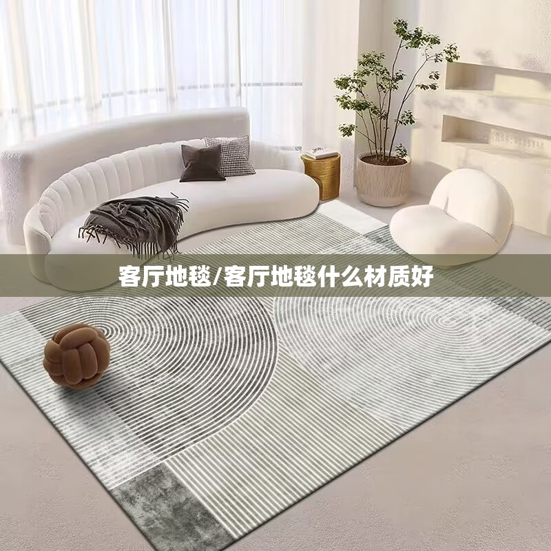客厅地毯/客厅地毯什么材质好 客厅地毯/客厅地毯什么材质好