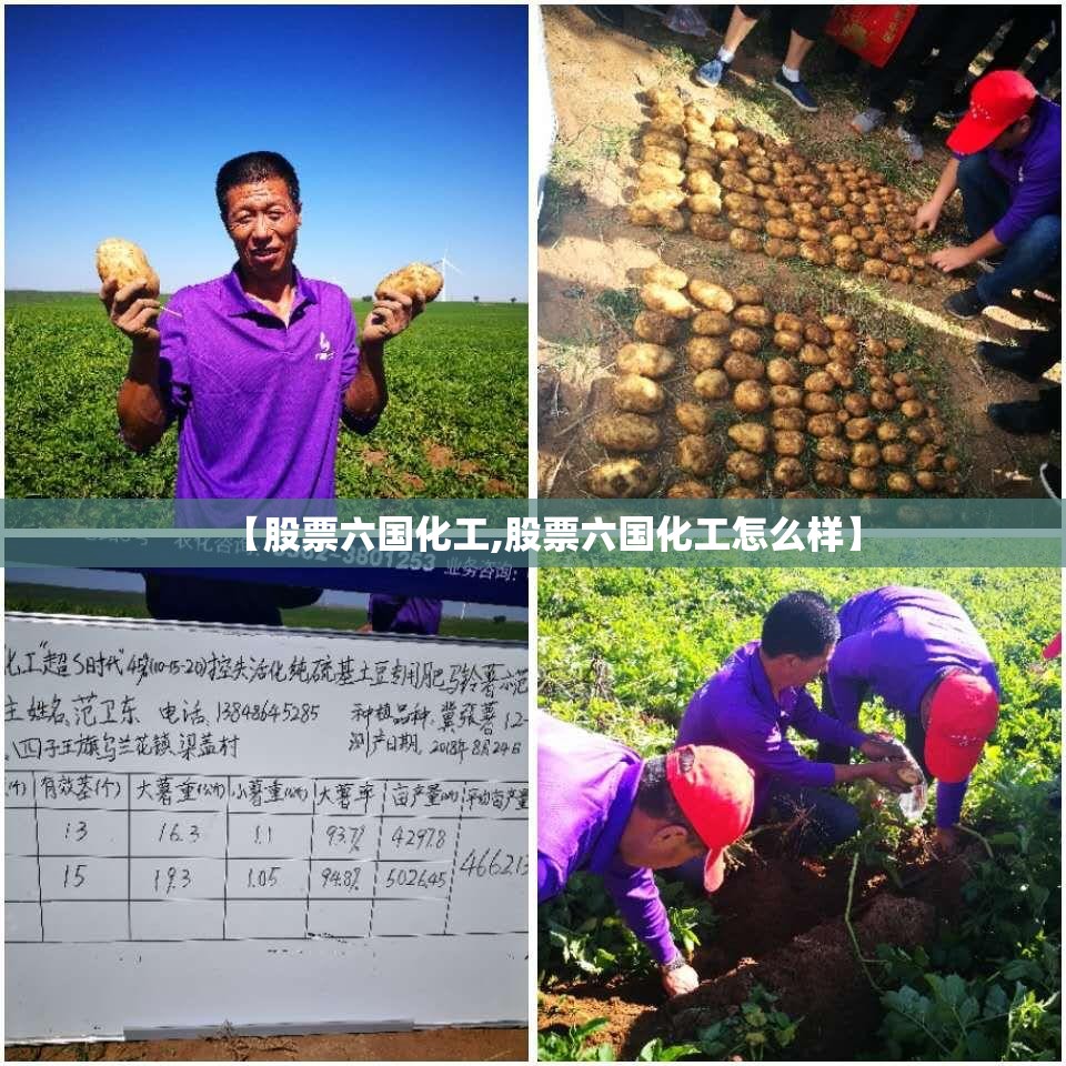 【股票六国化工,股票六国化工怎么样】